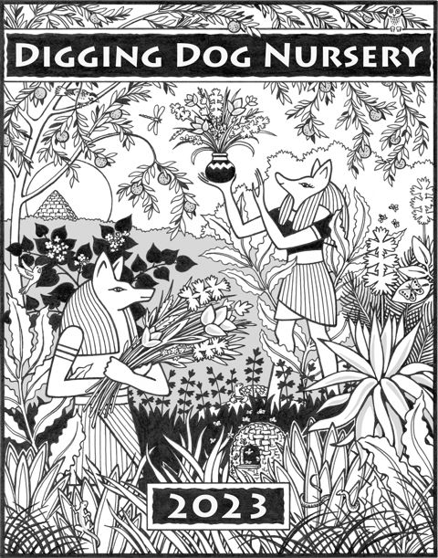click to view our current catalog Digging Dog Mail-Order Plant Nursery Catalog Cover
